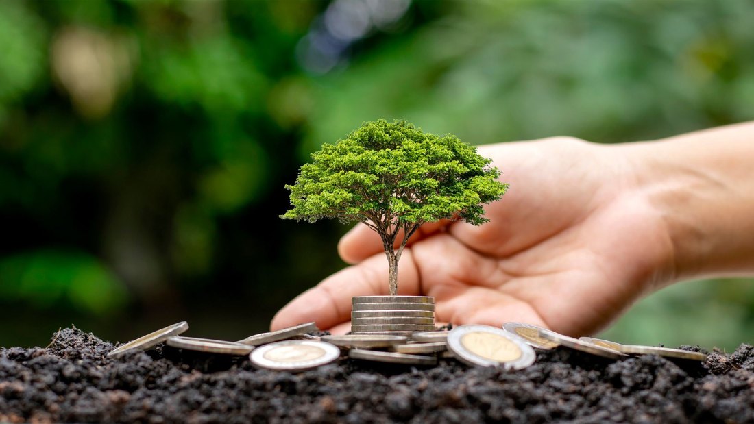 Tree growing from coins as a symbol of sustainable finance and long-term value