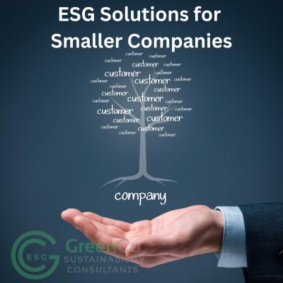ESG Solutions for SMEs